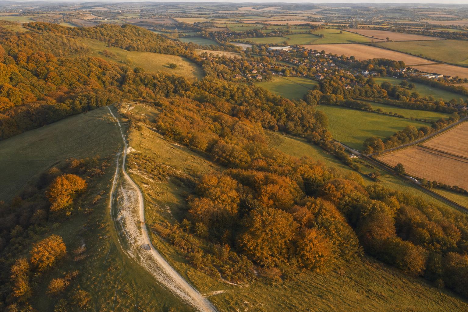 Autumn morning in the Chiltern Hills with mist over the beech woods